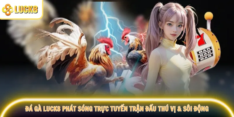 Đá gà Luck8 phát sóng trực tuyến trận đấu thú vị & sôi động
