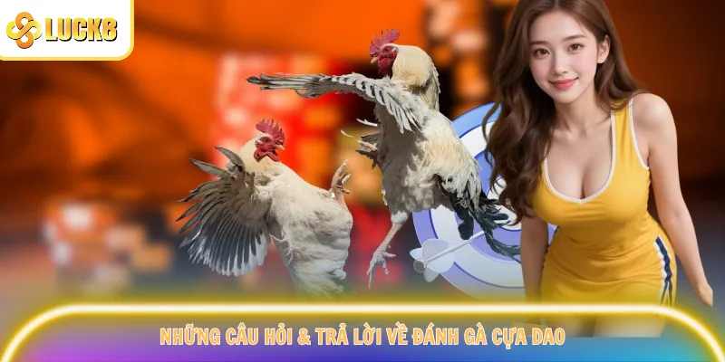 Những câu hỏi & trả lời về đánh gà cựa dao