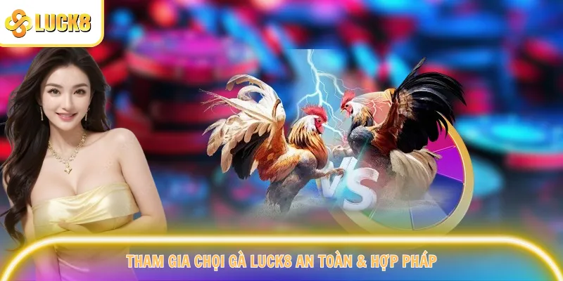 Tham gia chọi gà Luck8 an toàn & hợp pháp